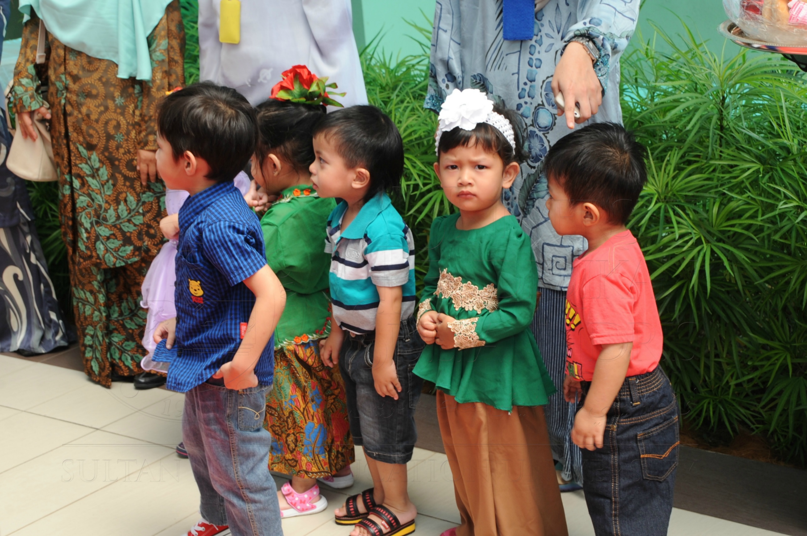 PRO16 32 NCDC HAS 3346